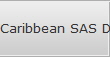 Caribbean SAS Data Recovery