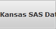 Kansas SAS Data Recovery