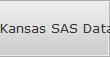Kansas SAS Data Recovery