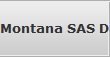 Montana SAS Data Recovery