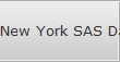 New York SAS Data Recovery