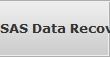 SAS Data Recovery Services