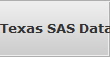 Texas SAS Data Recovery