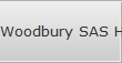 Woodbury SAS Hard Drive Raid Data Recovery Services
